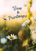 Vive les fleurs au c&oelig;ur du printemps